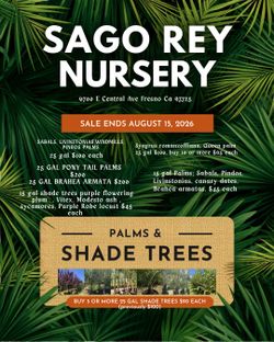 Summer blow out sale