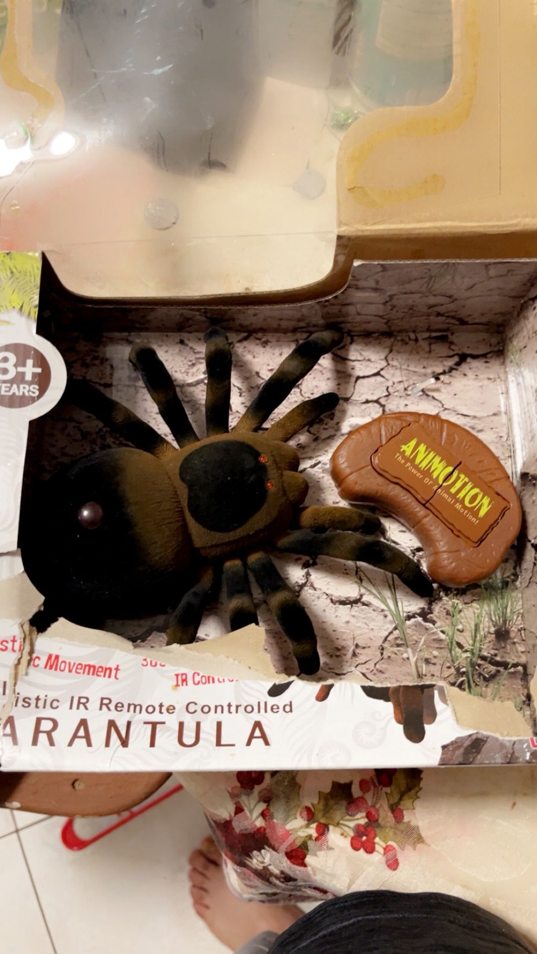 Big Spiders 🕷️