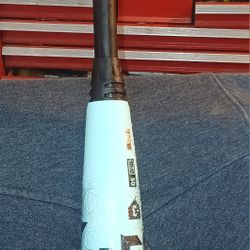 2026 DeMarini The GOODS baseball bat 