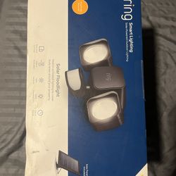 Ring Flood Spotlight