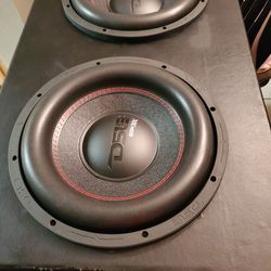 Brand New 12 Inch Ds18 Subwoofers