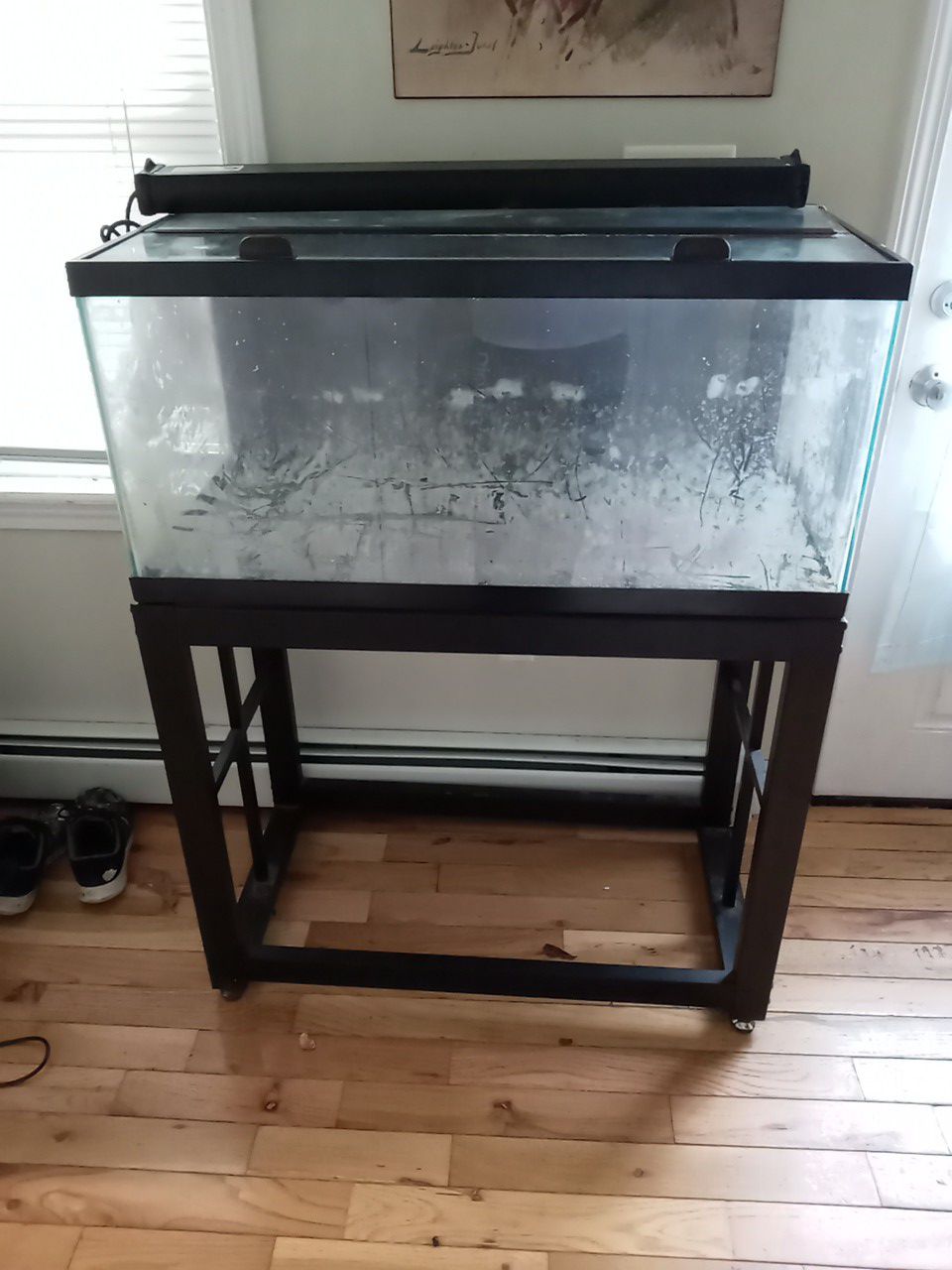 40 gallon fish tank with metal stand