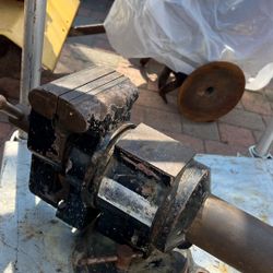 Branch Vise 