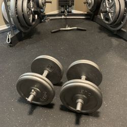 100lb DUMBBELLS ADJUSTABLE SET
