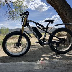 Fate Tire E-MTB (750 Watt). 