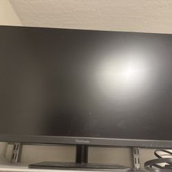 Large Computer Monitor