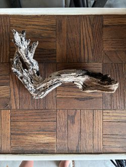 Driftwood
