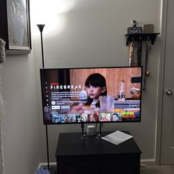 42in Insignia Roku TV