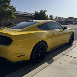 2015 Ford Mustang