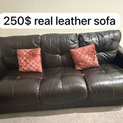 Sofa, Accent Chairs, Outdoor Swing, Organisers