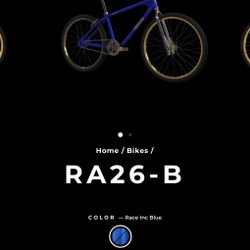 RaceInc BMX Bike 