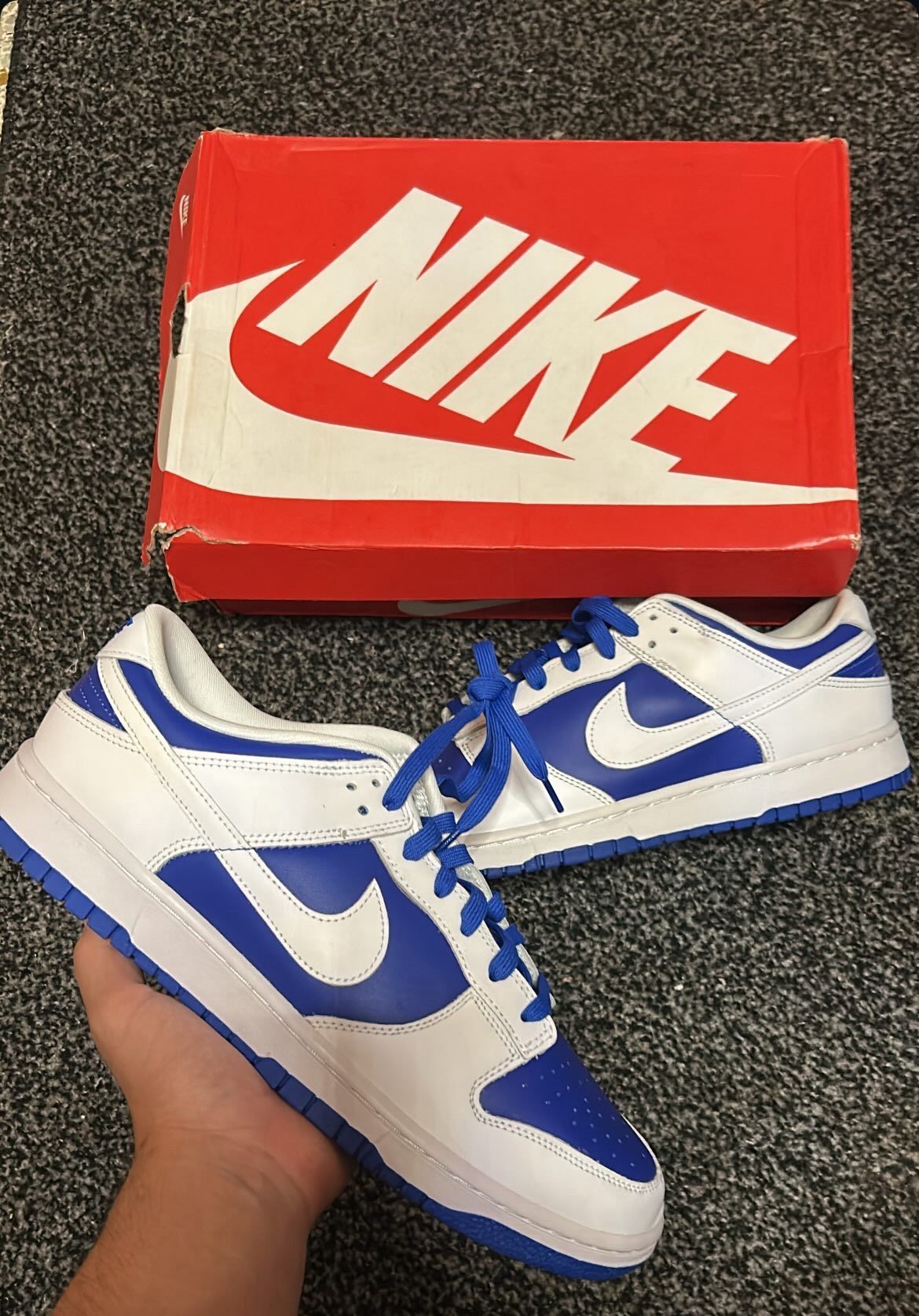 BRAND NEW DUNKS $100