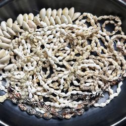 Shell Beads