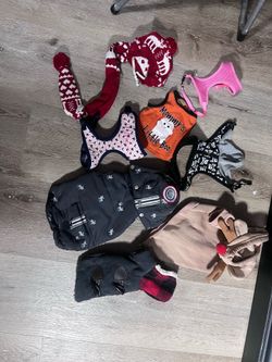 Dog and cat clothes and harnesses