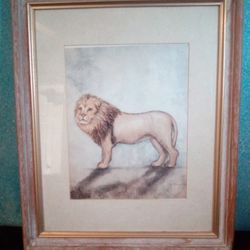  Lion sketch Wall Picture
