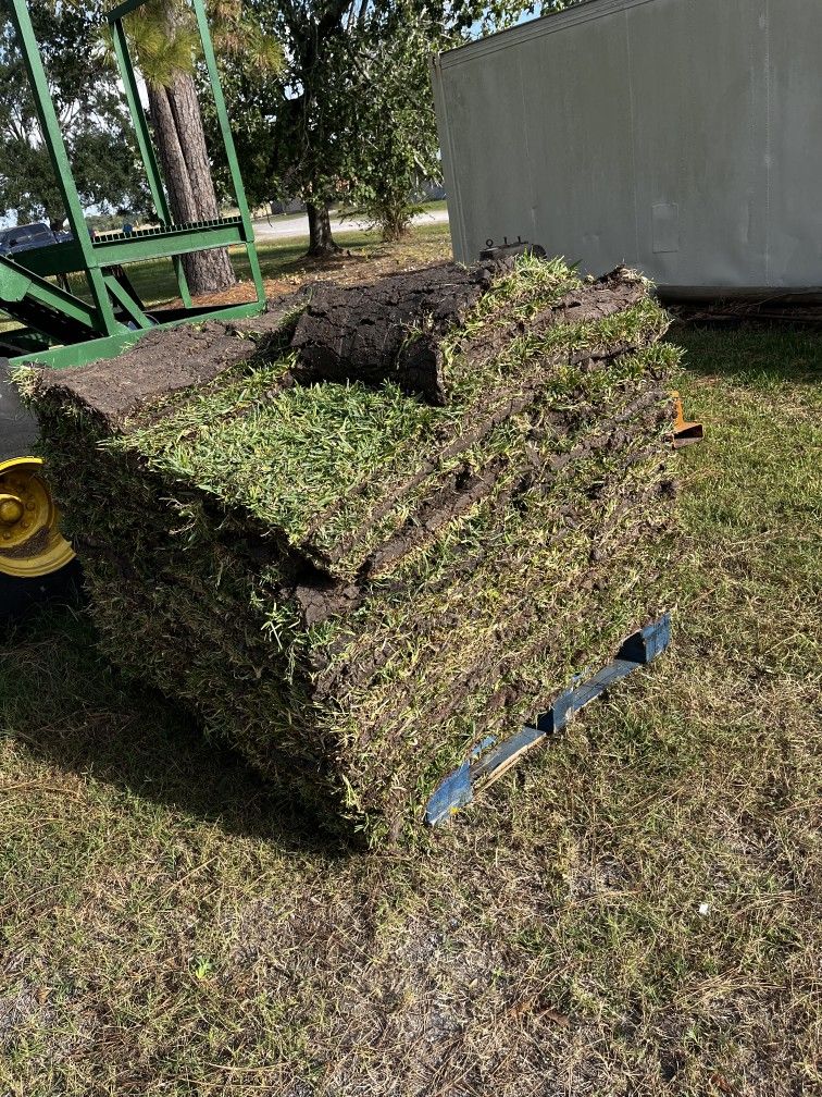 St Agustine Grass Pallets