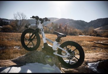 Greenager saddle back electric bike