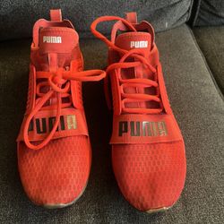 Puma Size 12