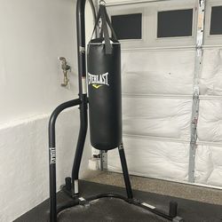 Everlast Boxing Bag 