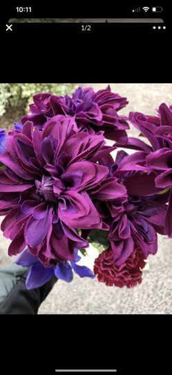 Fall flowers