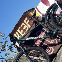 Giant And Trek