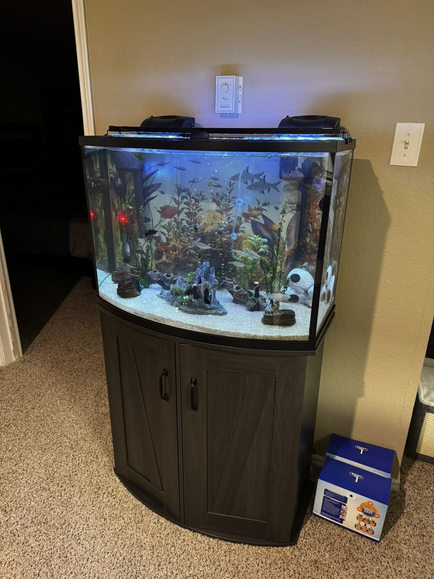 Fish Tank, Complete Setup +++