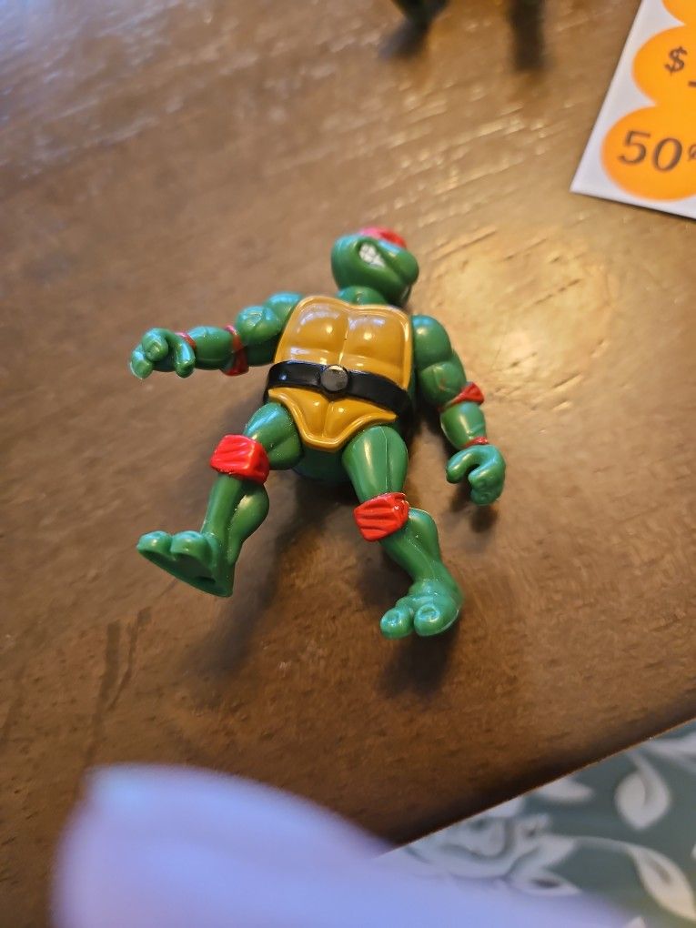 Teenage Mutant Ninja Turtle Playmate Figurine