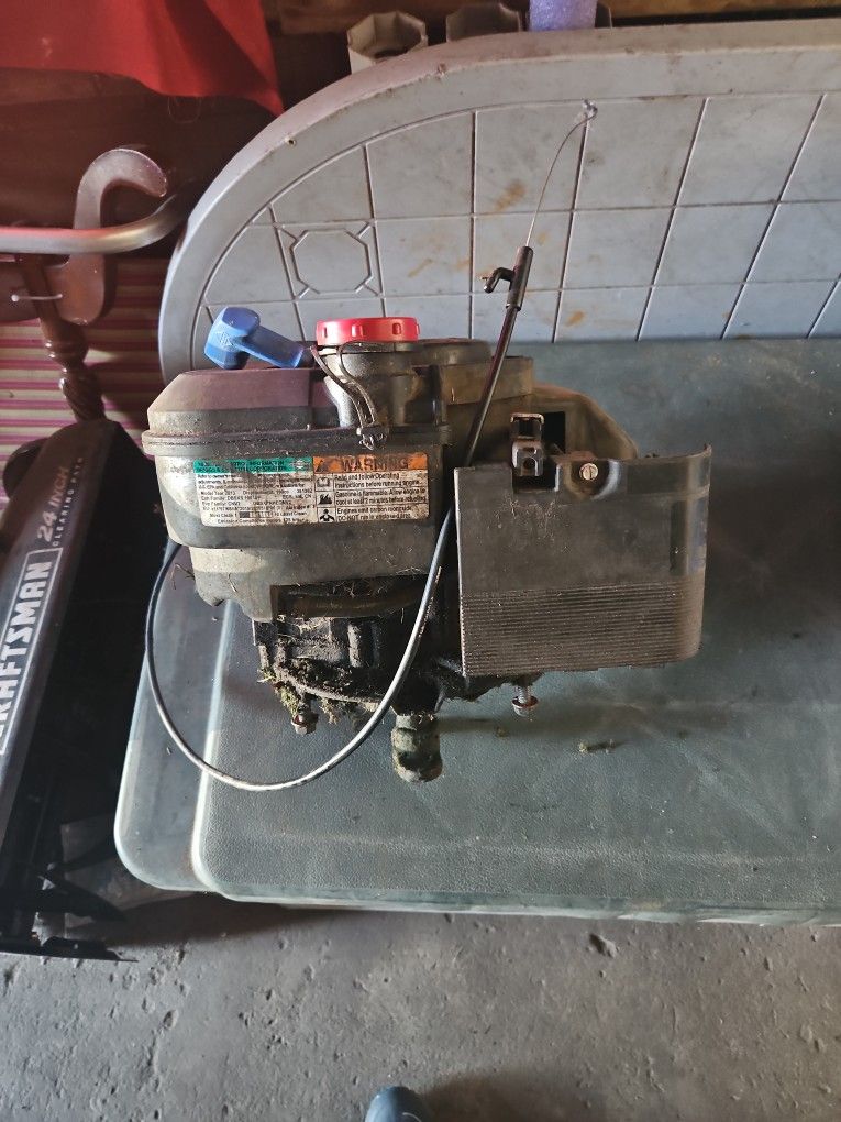 Lawn Mower Engine