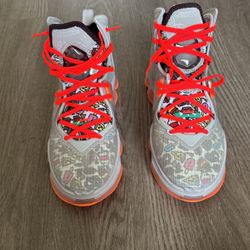 Lebron James Basketball Shoes