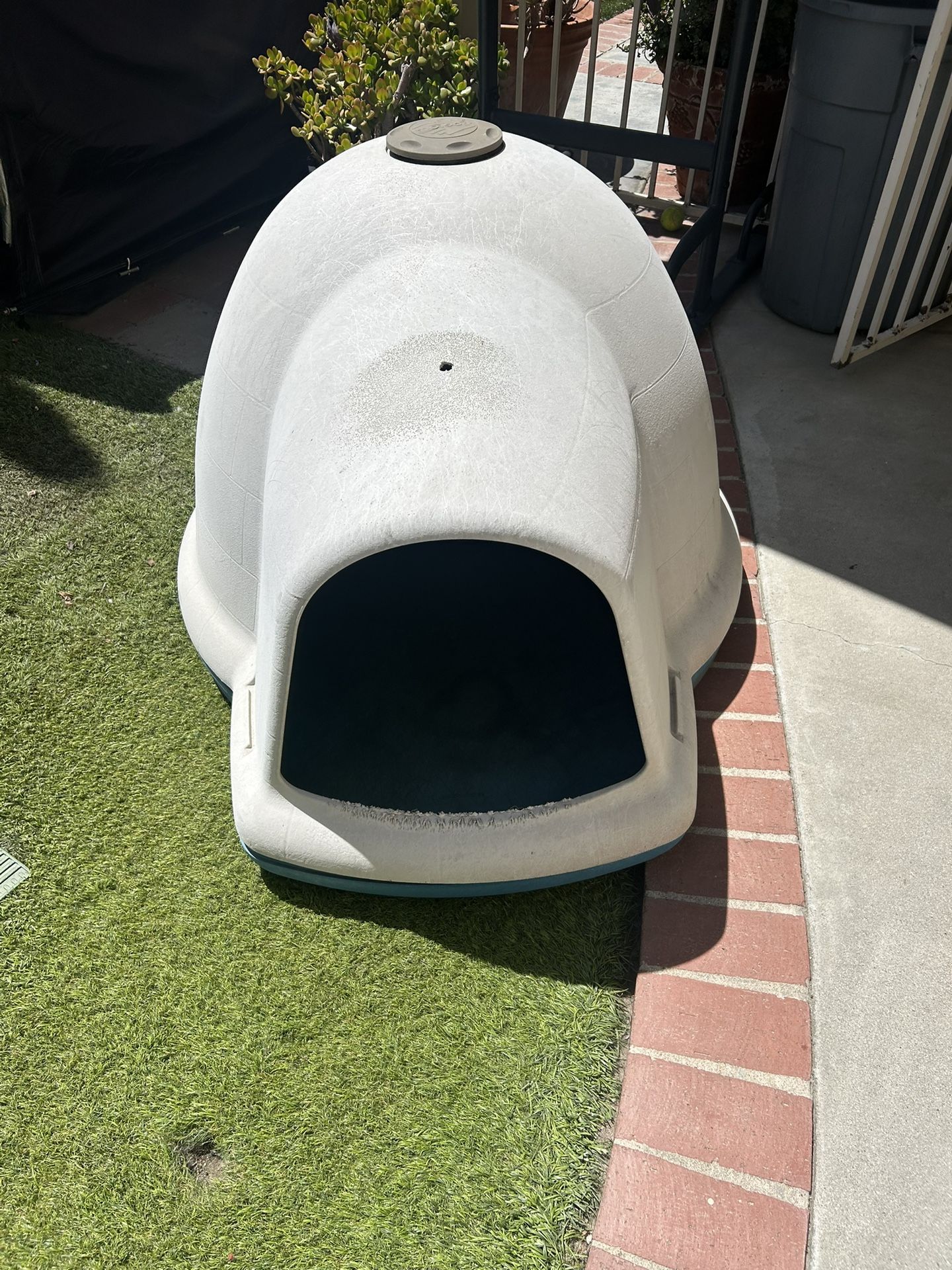 Large Dog House