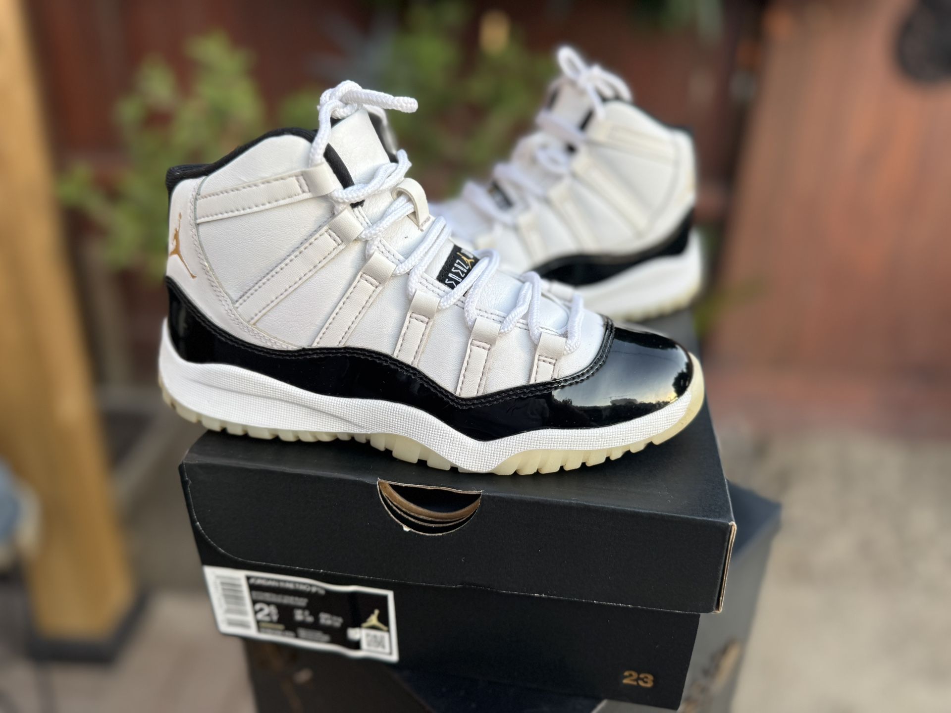 Jordan 11 Gratitud 2.5y