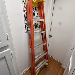 Werner 6’ Fiberglass Ladder