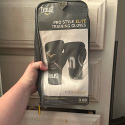 Everlast Pro Style Elite Training Gloves (16 Ounces)