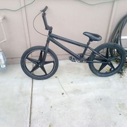 20" Bike 