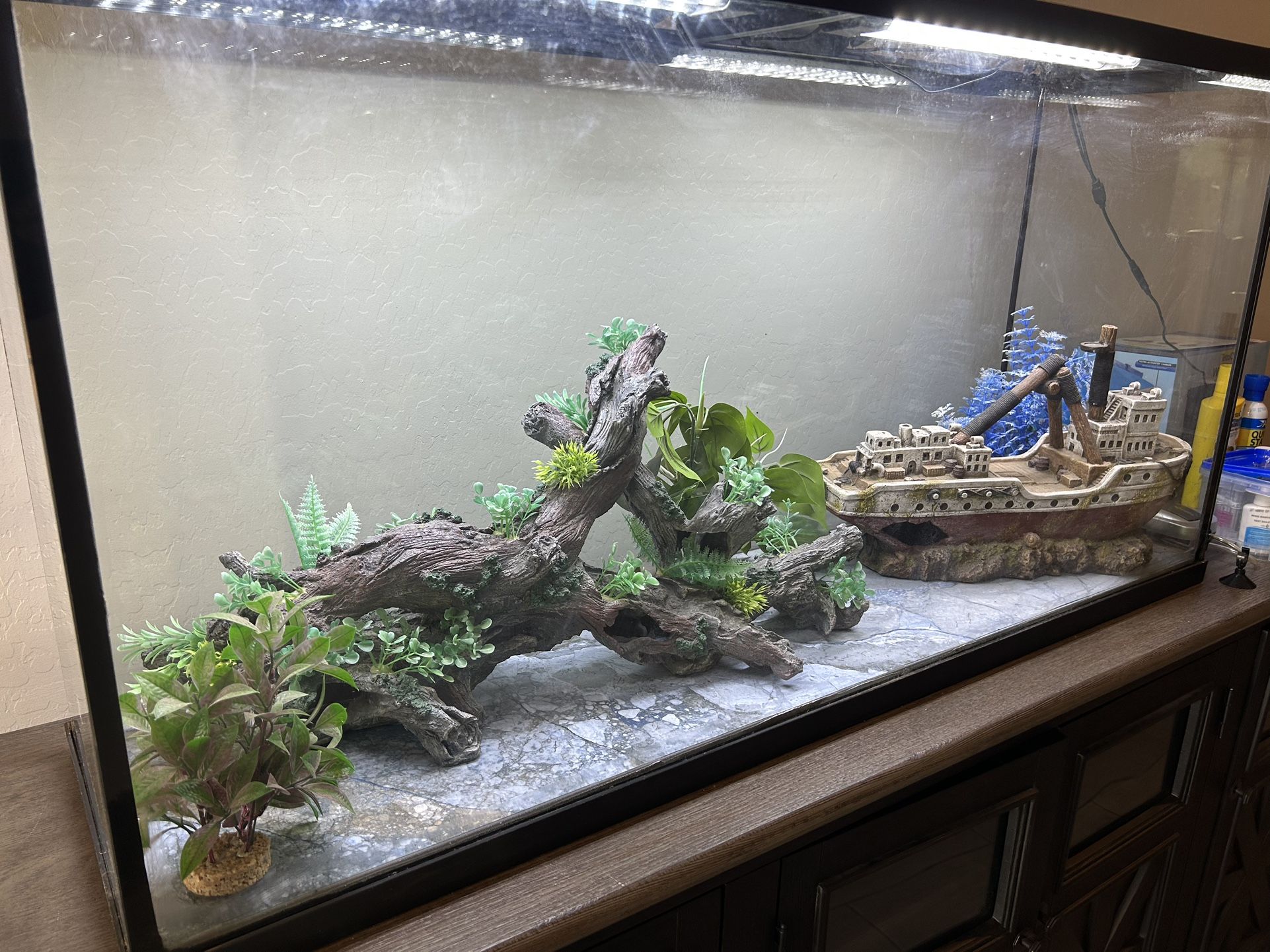 55 Gallon Aquarium all Inclusive