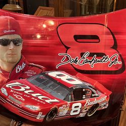 Collectable Dale Earnhardt Jr. #8 Budweiser NASCAR  Hood Displays.