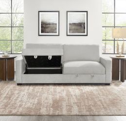 Costco Thomasville Signature Loveseat sofa with hidden storage