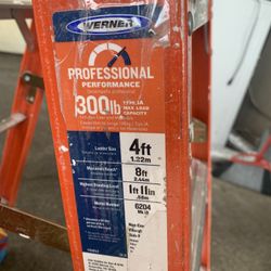 Werner 4ft Ladder