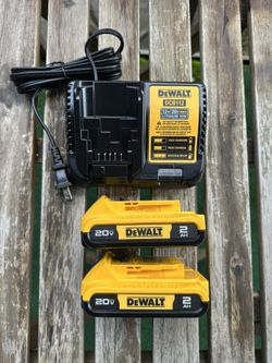 Dewalt battery 2ah charger