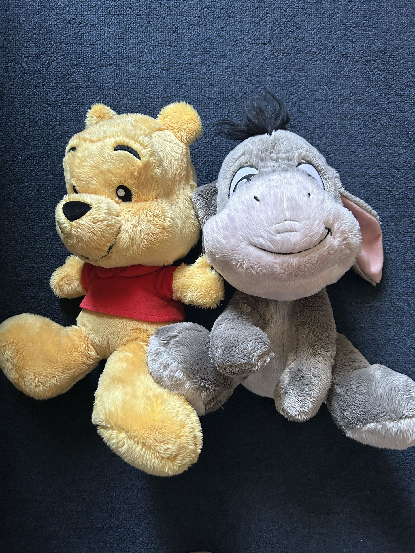 Winnie The Pooh And Eeyore