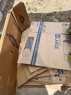 Free cardboard boxes- All sizes