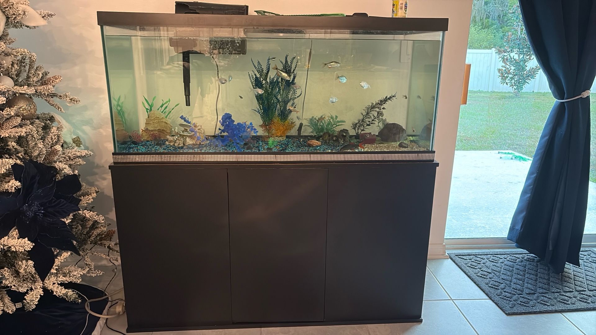 Fish Tank 75 Gallons With The Stand 