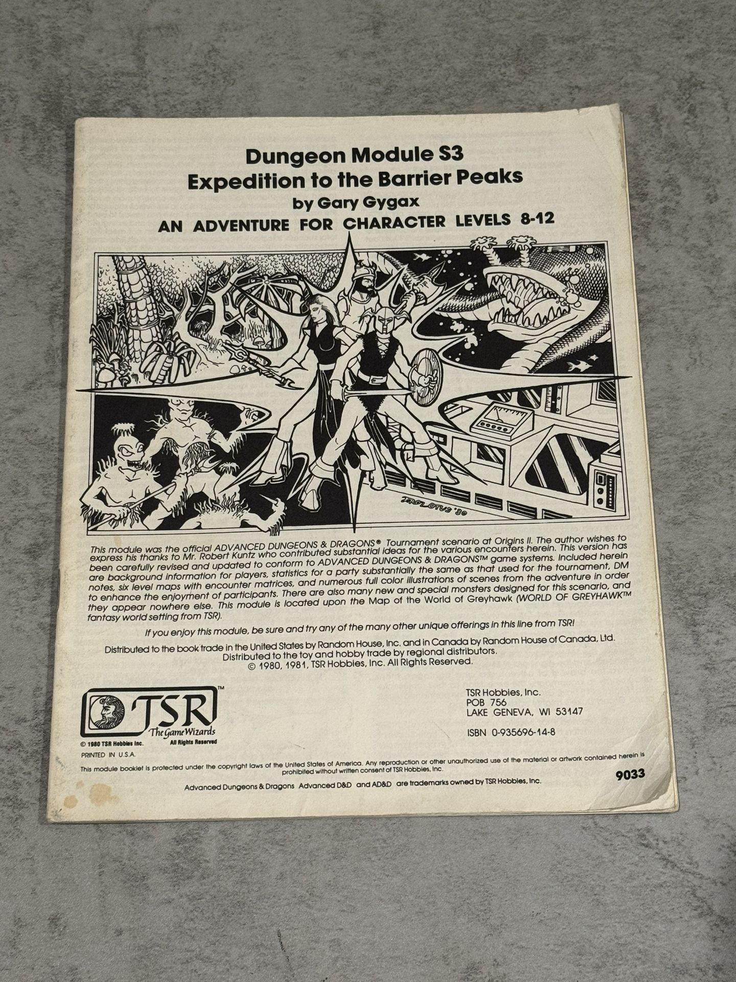 Dungeons & Dragons Expedition to the Barrier Peaks TSR#9033 (1E, 1980) No cover