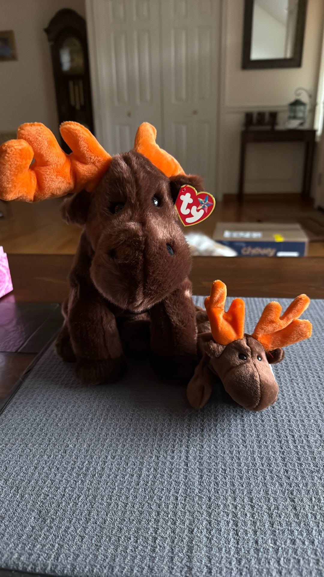 Ty CHOCOLATE The Moose Buddie And Baby Retired NWT