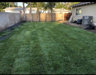 Artifical turf & Sprinkler