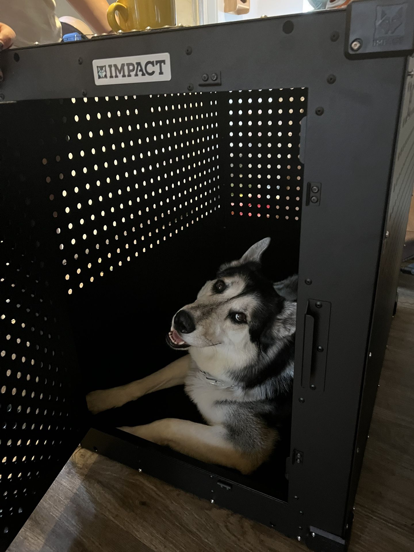High Anxiety Impact Dog Crate 40+ (dog not Included)
