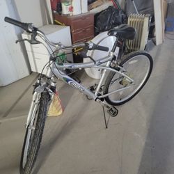 Very Expensive Bike 150 Dlls