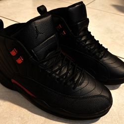 Air Jordan 12s, bloodline, size 12