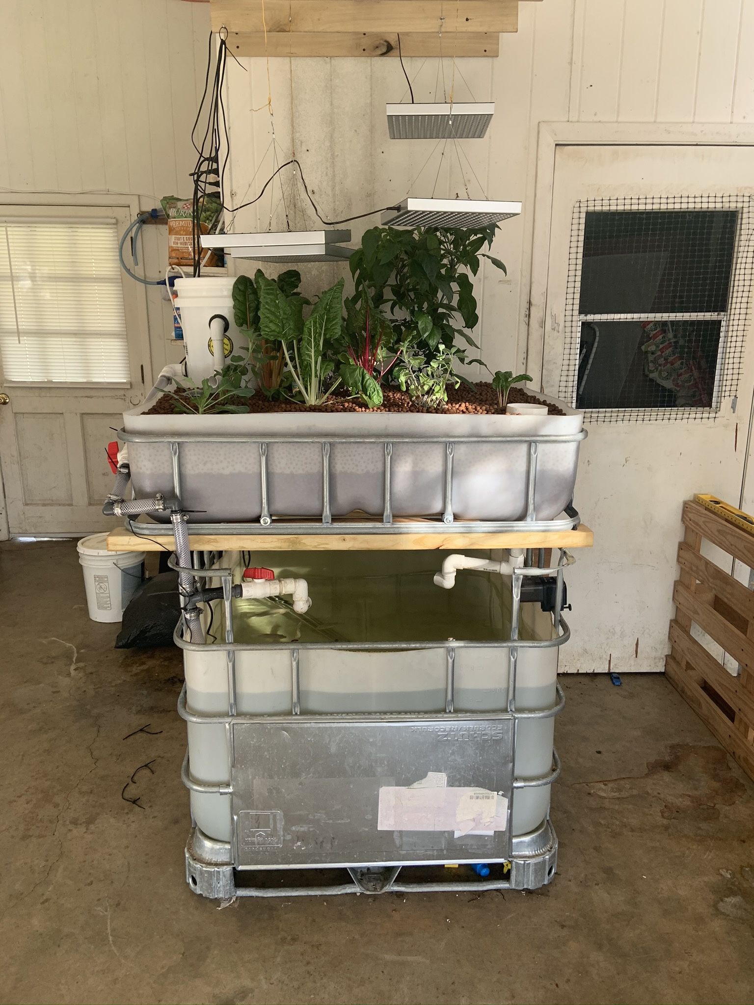 Aquaponics System