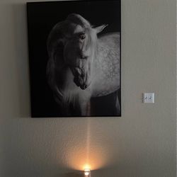 Horse Painting